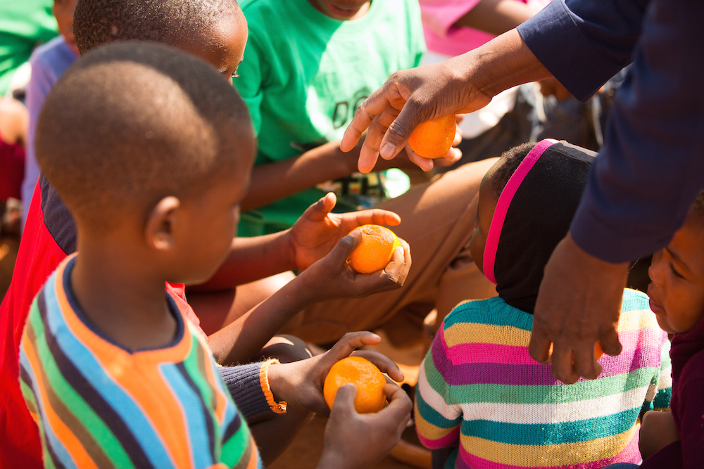 south africa clementines