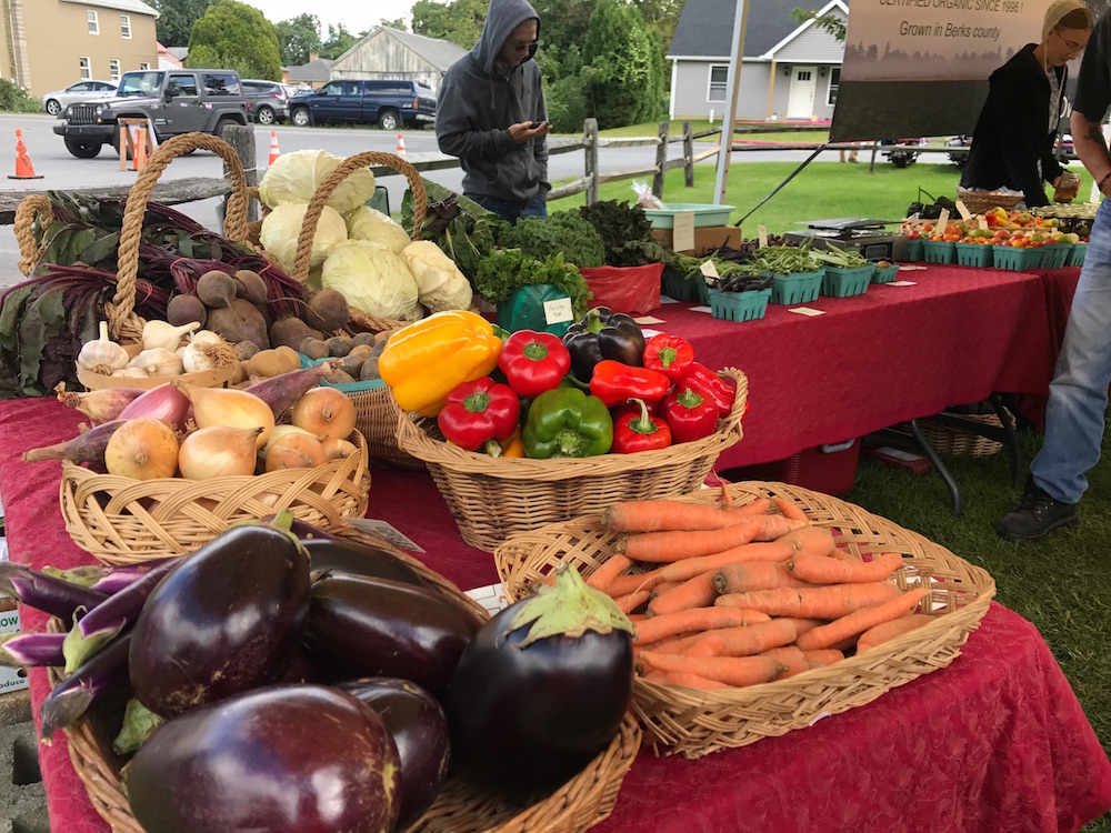 Chile Pepper Festival in Bowers, PA Frugal Lancaster