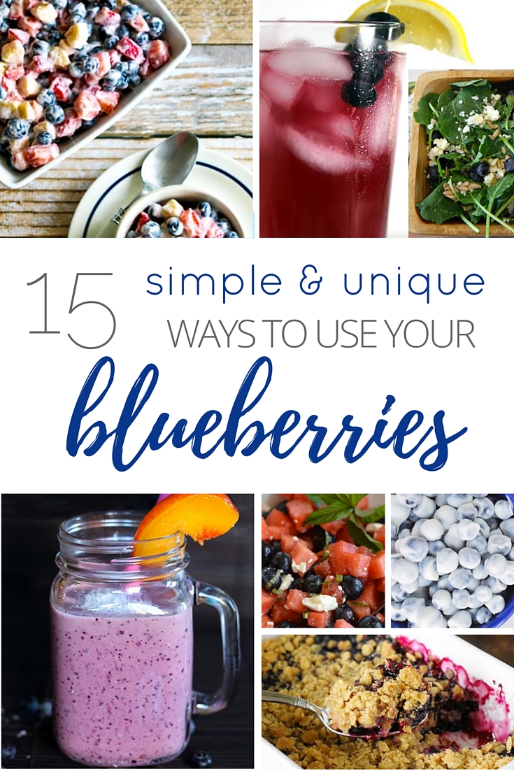 15 Simple & Unique Ways To Use Your Blueberries Frugal Lancaster