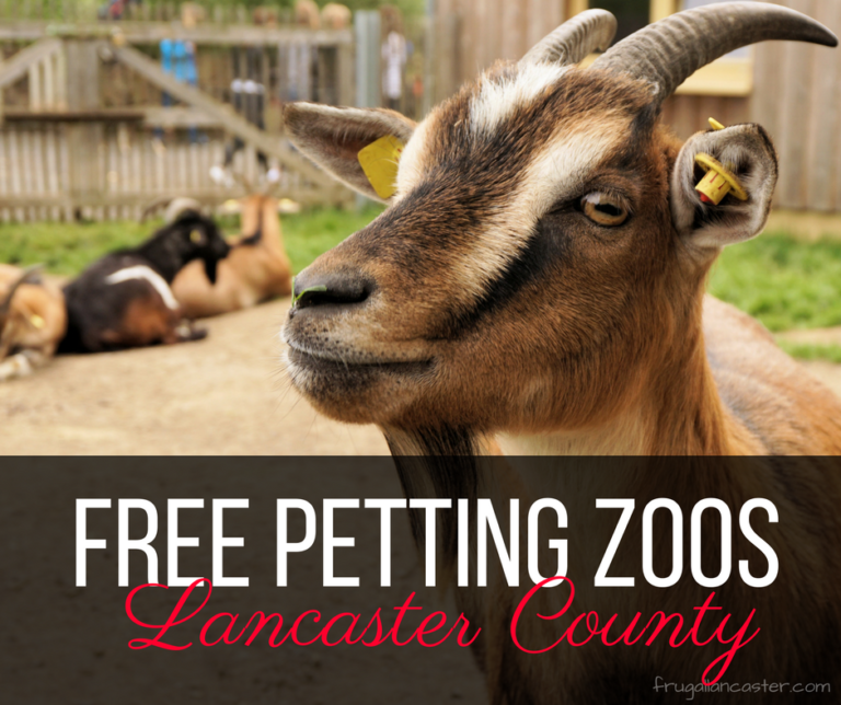 FREE Petting Zoos in Lancaster County - Frugal Lancaster