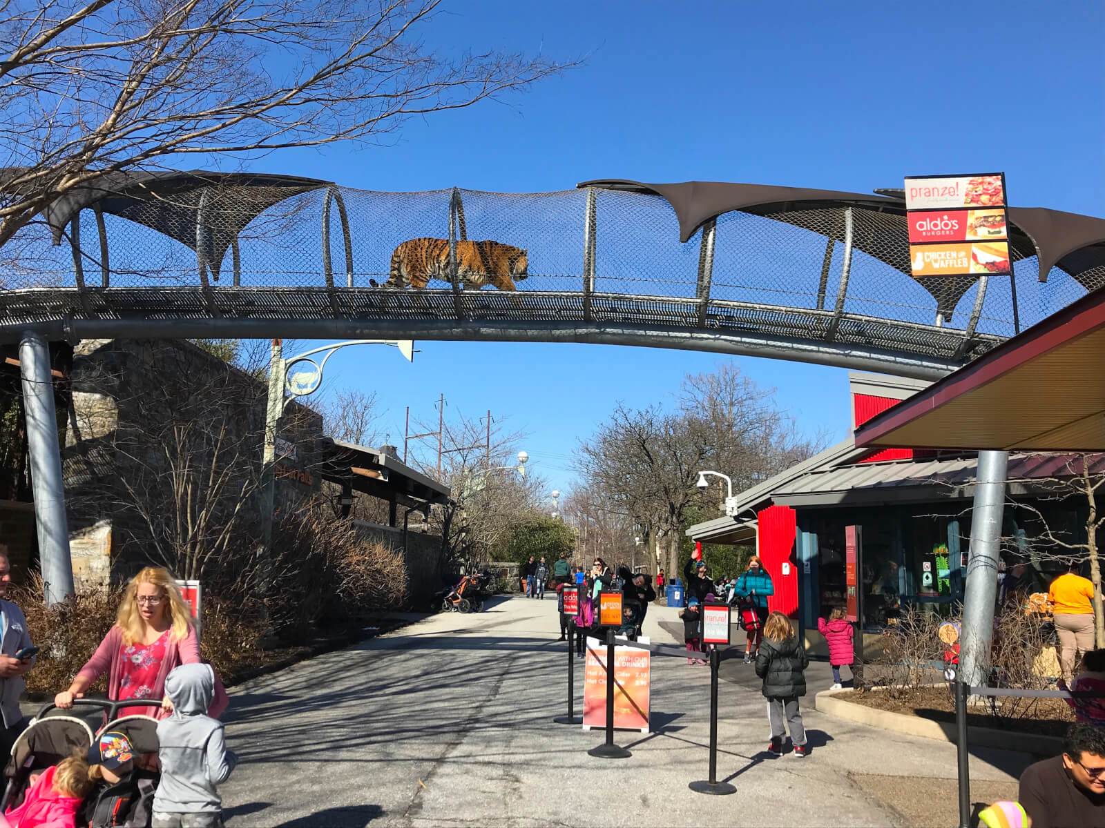 11 Ways to Save on Philadelphia Zoo Tickets—Coupons & Membership