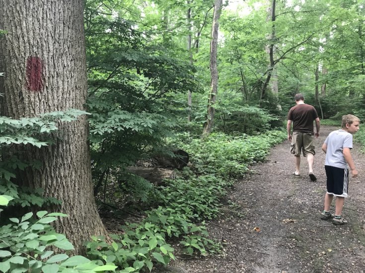 Landis Woods Hiking Trails - Frugal Lancaster